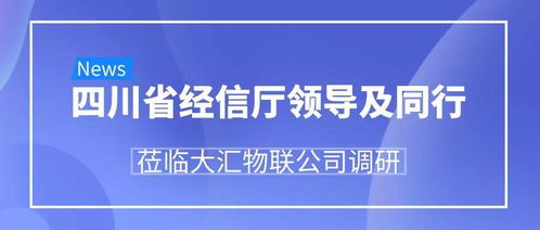 开物云平台发布引关注，四川省经信厅领导一行莅临大汇物联与万铮物联调研指导